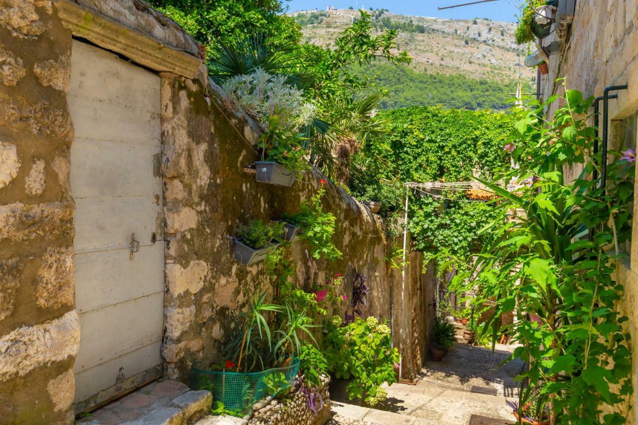 Old Town House With Floor Heating & Lush Private Garden Villa Dubrovnik Kültér fotó